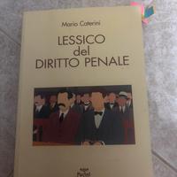 Libro di diritto penale