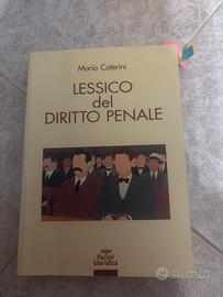 Libro di diritto penale