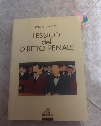 Libro di diritto penale