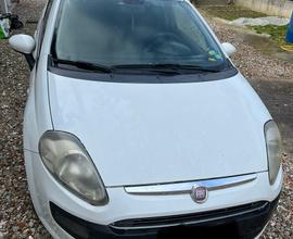 FIAT Punto Evo Diesel adatta a NEOPATENTATI