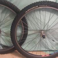 coppia ruote mtb