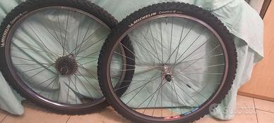 coppia ruote mtb