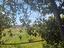 Immagine 29
