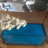 Acquario per pesci o tartarughe