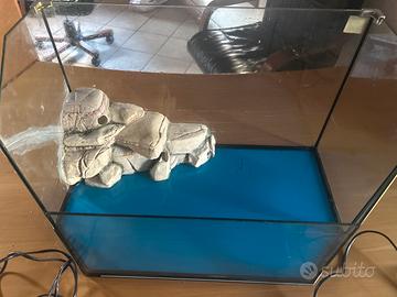 Acquario per pesci o tartarughe