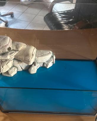 Acquario per pesci o tartarughe