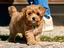 Immagine 10