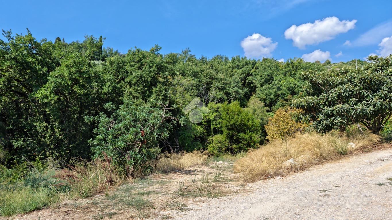 TER. AGRICOLO A LOANO - Vista 4