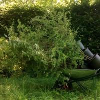 Giardiniere e boscaiolo