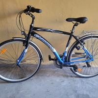 Bicicletta City Bike Carnielli