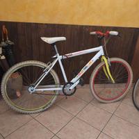 Bici trekking