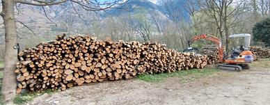 Legna da ardere carpino