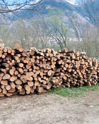 Legna da ardere carpino