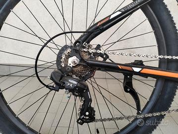 BICICLETTA MOONSTER