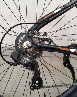 BICICLETTA MOONSTER