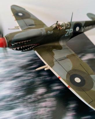 Spitfire mkVIII Eduard 1/48