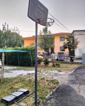 Canestro