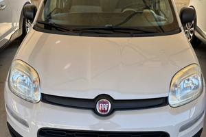 Fiat Panda 1.2 Easy neo patentato