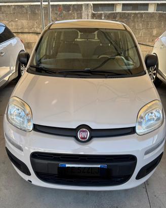 Fiat Panda 1.2 Easy neo patentato