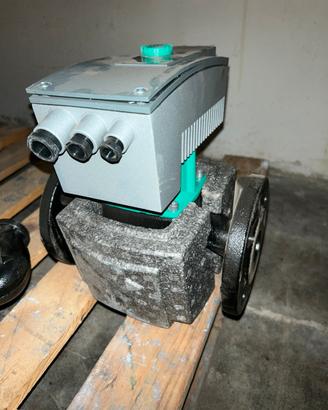 Circolatore Wilo per Acqua