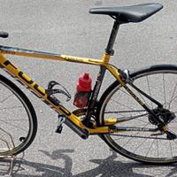 Bicicletta Focus