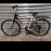 Bicicletta city bike uomo 