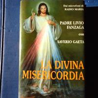 La divina Misericordia