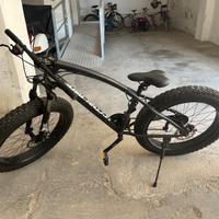 Fat bike