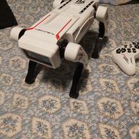 CANE     ROBOT     