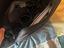 Immagine 4