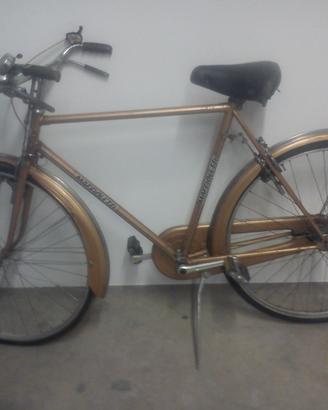 bicicletta con freni a bacchetta e cambio