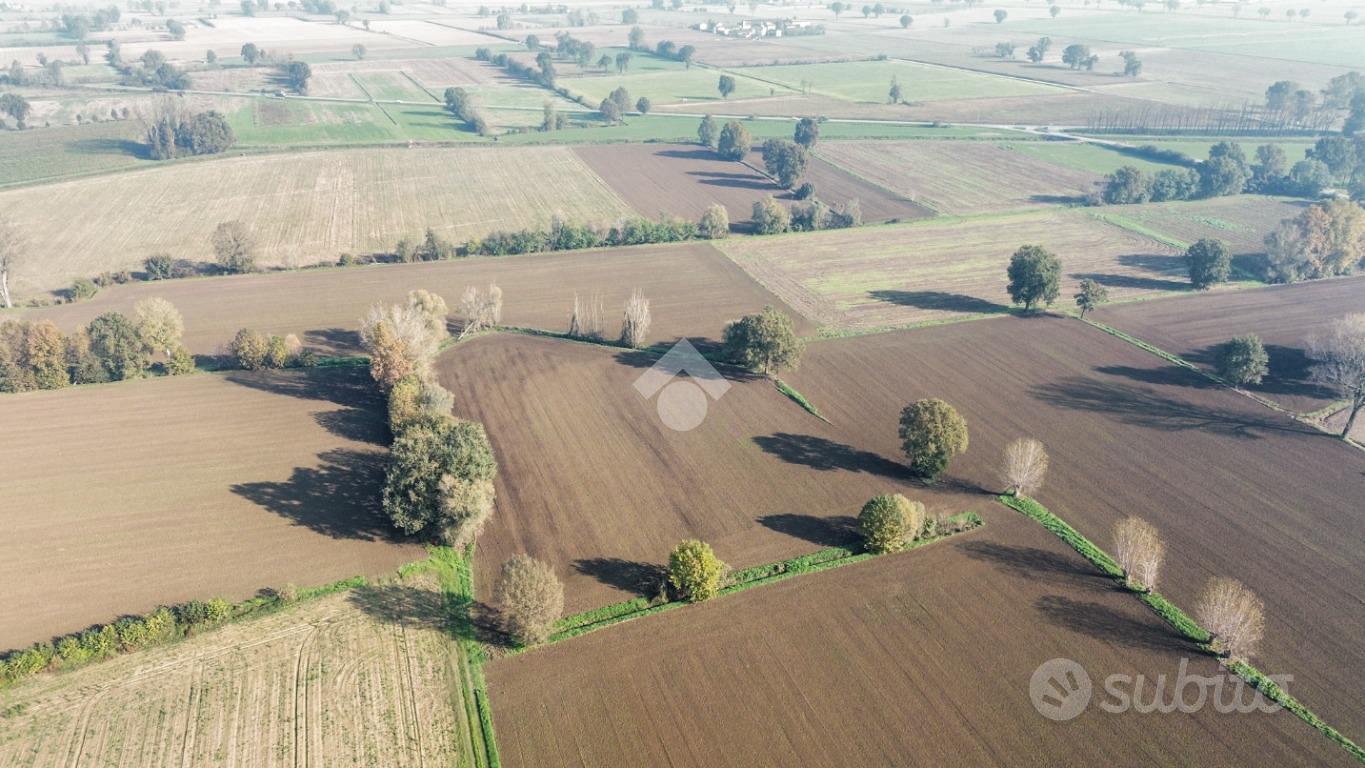 TERRENO A SAN DANIELE PO - Vista 4