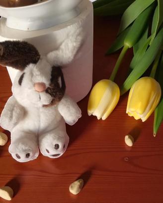 Coniglio di peluche bianco e marrone