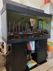 acquario juwel RIO300 + ACCESSORI