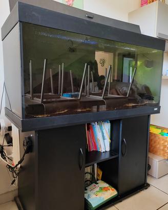 acquario juwel RIO300 + ACCESSORI