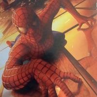 Film DVD di Spiderman Originale