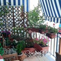 Tende da sole Tempotest