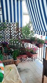 Tende da sole Tempotest