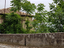 Immagine 5