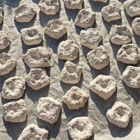 SUPPORTI, PLUG, BASETTE TELEE CORALLI ACQUARIO