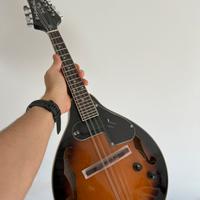 Mandolino elettrico