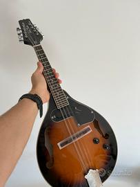 Mandolino elettrico