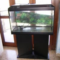 Acquario Tenerife 80 lt