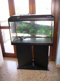 Acquario Tenerife 80 lt