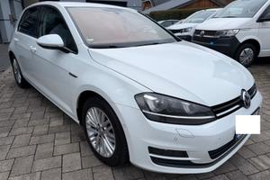 Volkswagen Golf Business 1.4 benzina/metano TGI 5p