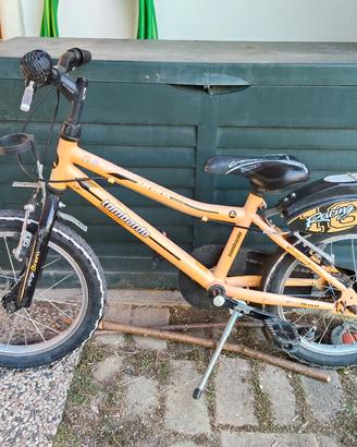 Bicicletta bambino raggio 16