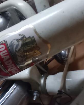 Bici pieghevole 