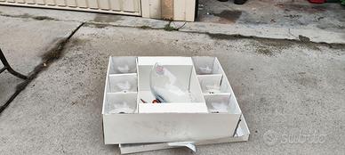 Servizio di cristallo per dolci