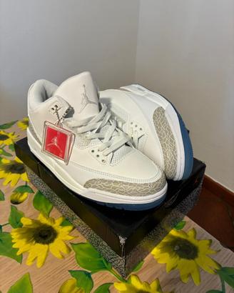 Nike Air Jordan 3 “pure money”