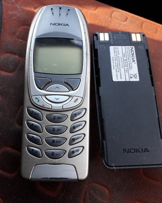 Nokia 6310